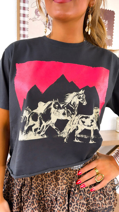 Mountain Trio Horse, Black